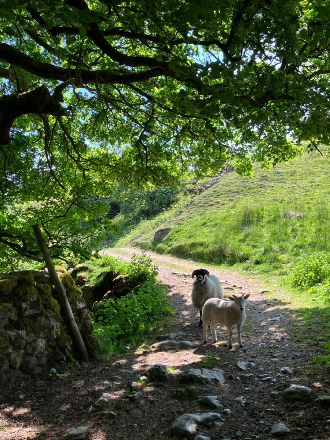 The Snug At Greystones Leilighet Buckden  Eksteriør bilde