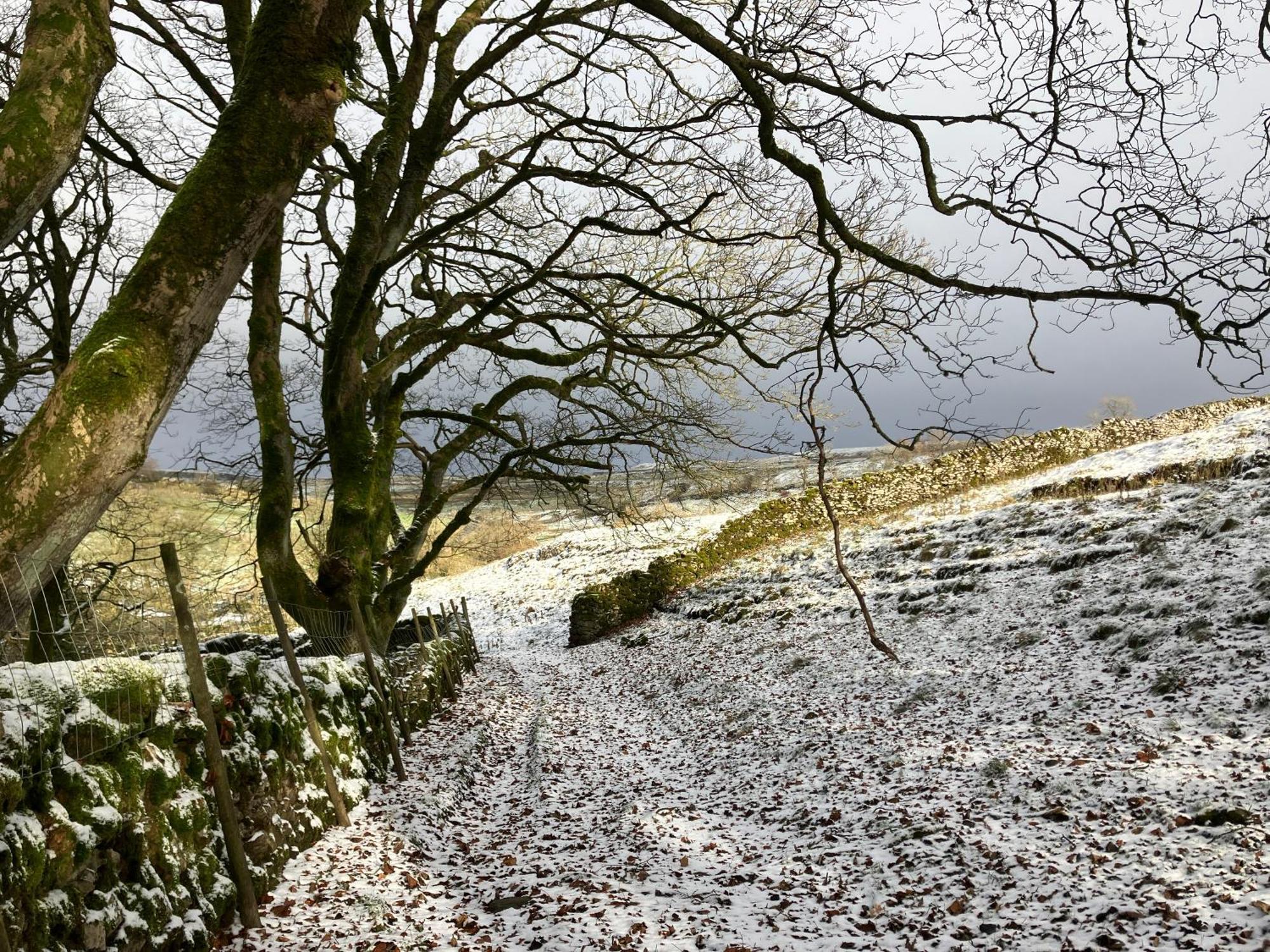 The Snug At Greystones Leilighet Buckden  Eksteriør bilde